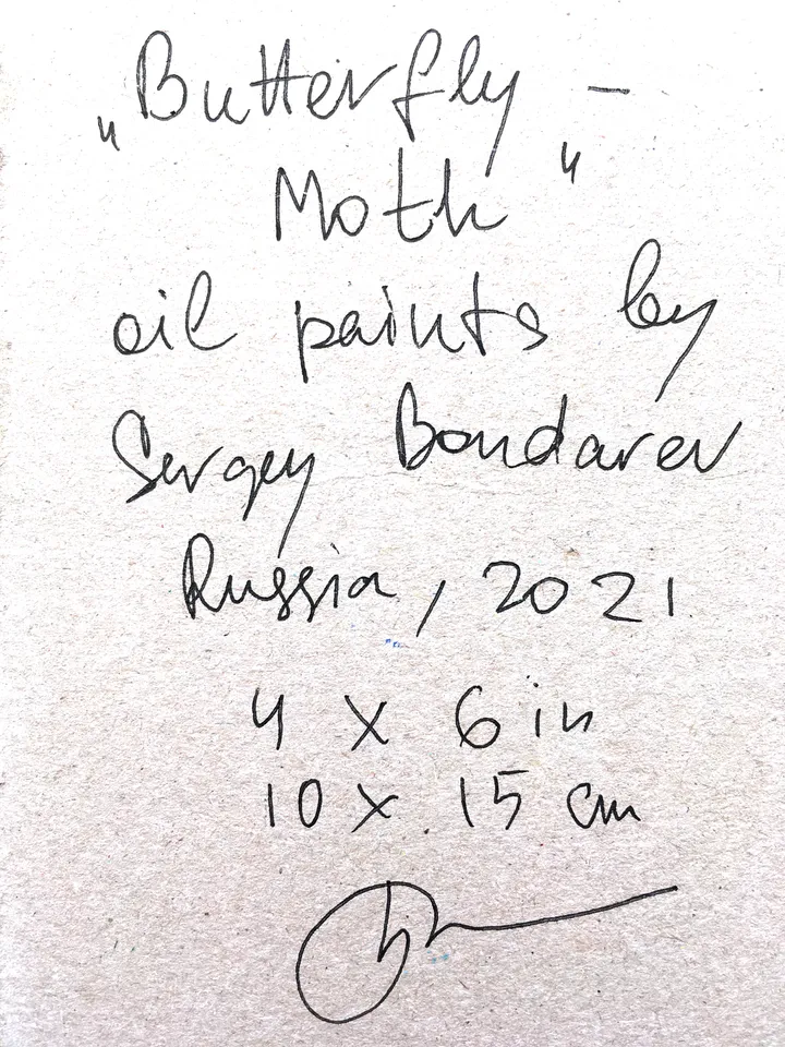 Butterfly Moth Original Art by SerjBond