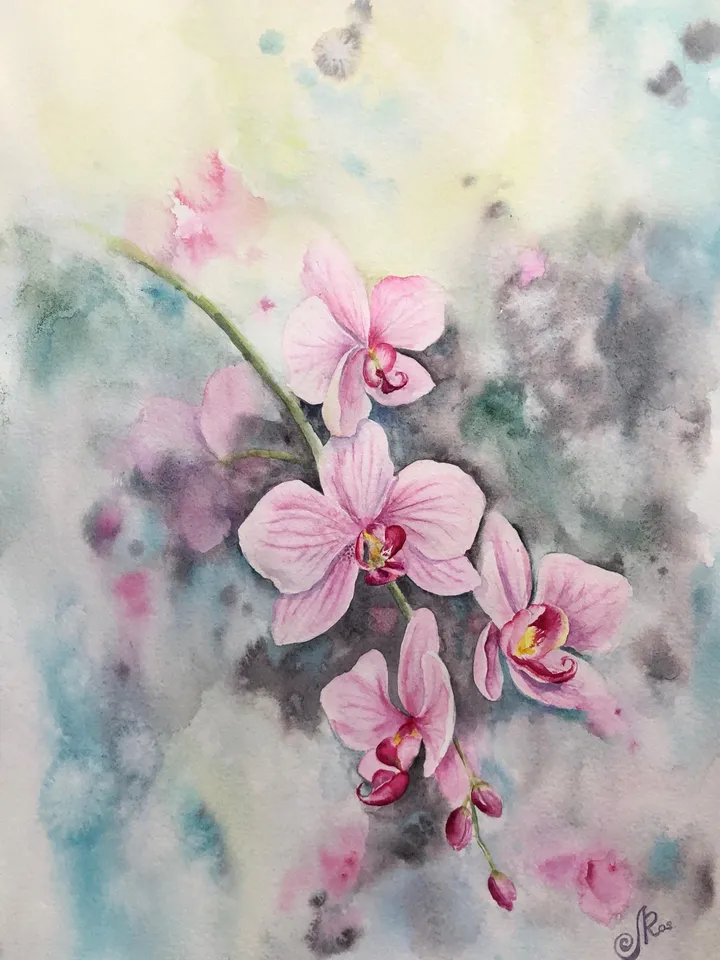 Flowers Original Painting Floral Watercolor Art Orchid Wall Art Blooming Painting