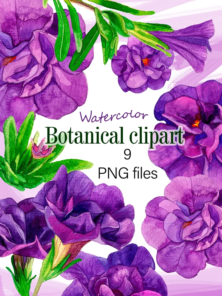 Watercolor botanical clipart, Calibrahoa flowers, 9 Digital files PNG on transparent background, Flower clipart for design, Purple flowers