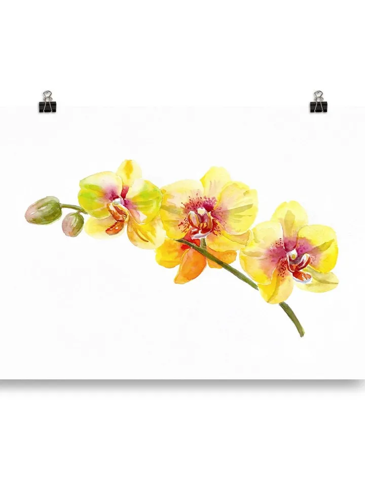 Watercolor Orchid Art Flower Line Art  Wild Flowers Botanical Printable Wall Art Flower Print Minimal Botanical Poster Giclee Botanical Art