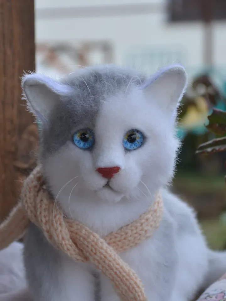 Kitten Marie