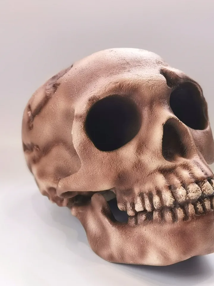 Homo Neanderthal Skull Replica, Prehistoric Fossil Collection, Realistic Hominid Skull