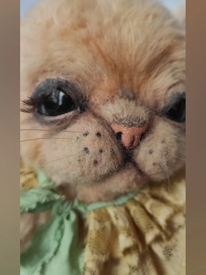 Teddy Bunny