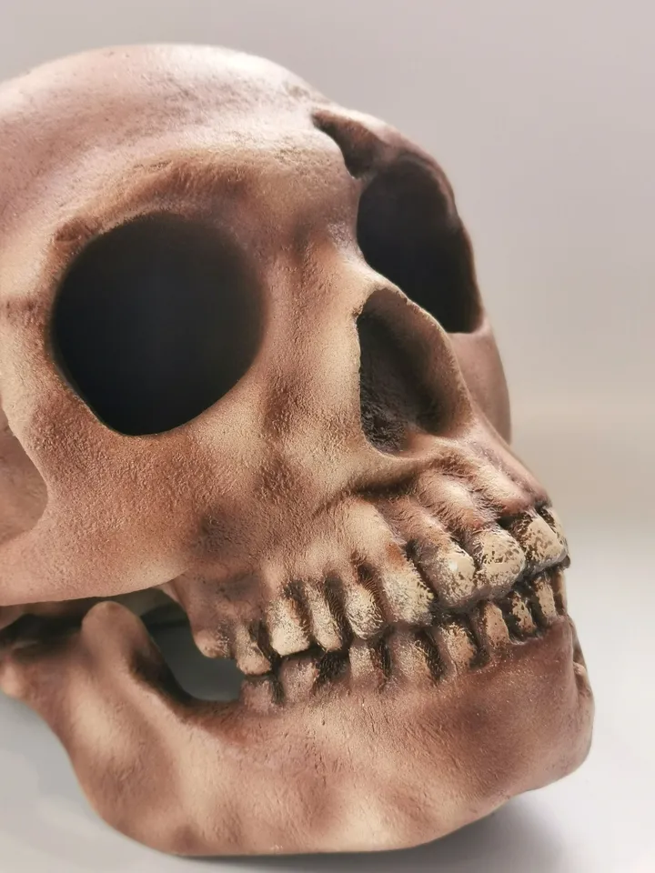 Homo Neanderthal Skull Replica, Prehistoric Fossil Collection, Realistic Hominid Skull