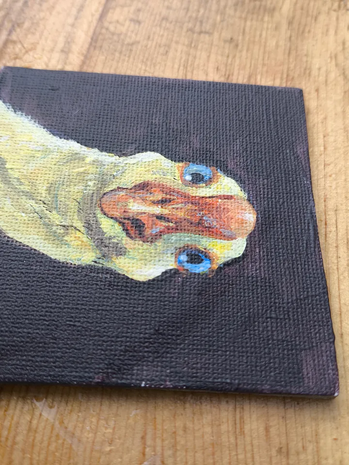Portrait of a goose canvas on magnet kitchen decor
