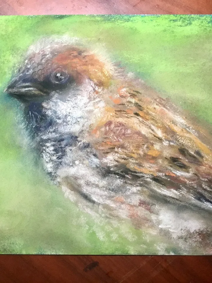 Sparrow bird original soft pastel painting on cardboard,nature,birds paintings,small painting gift,home decoration.