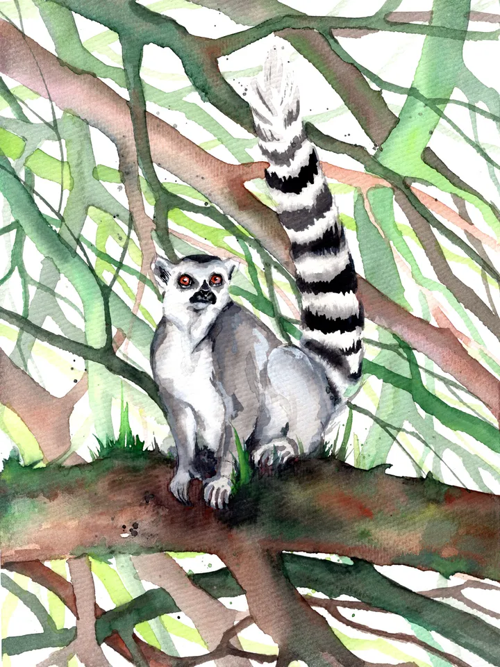The feline lemur Original watercolor, animal painting, wall decor, animals lover gift, 8x11 in handmade art by Anne Gorywine
