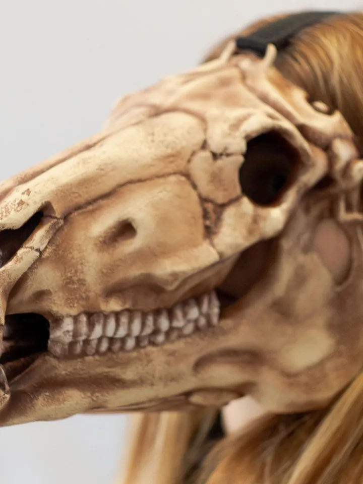 Horse Skull Mask, Horror Mask, Realistic Skull Mask, halloween scary mask, creepy mask, skull costume mask, shamanic mask,pagan mask