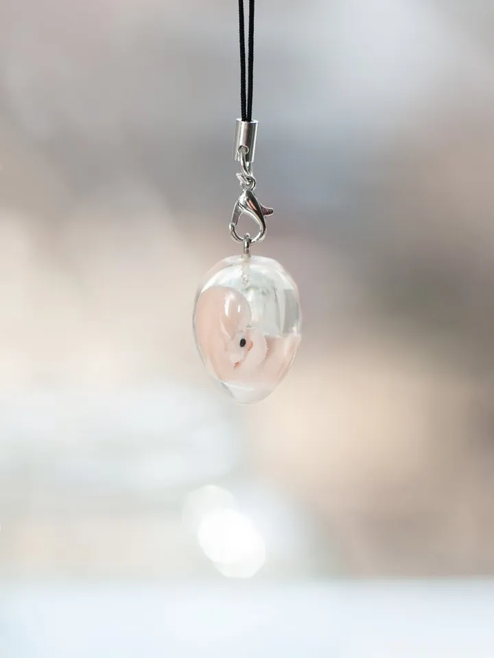 Embryo 7 weeks, 7 weeks pregnant, Sculpture cast in resin, charm ...
