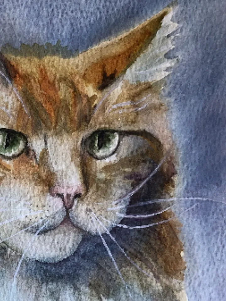 Cat portrait original watercolour painting hand painted