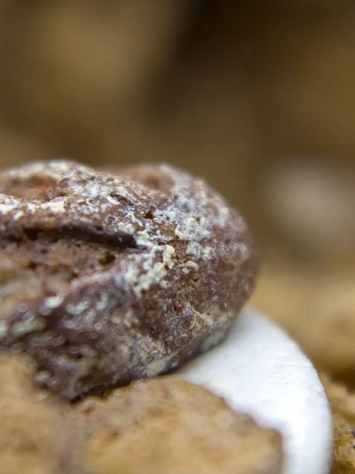 TUTORIAL Miniature brown bread with polymer clay