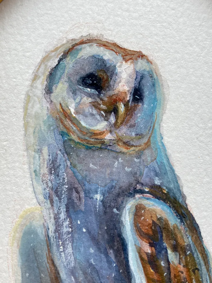 Owl Watercolor Painting Original In Oval Gold Frame Small Framed Bird Art Barn Owl