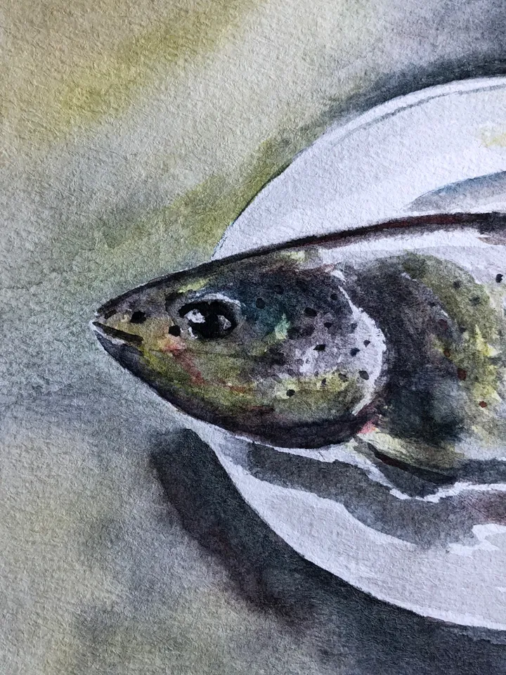 Fish original watercolour painting hand painted modern painting wall art 8x11 inch