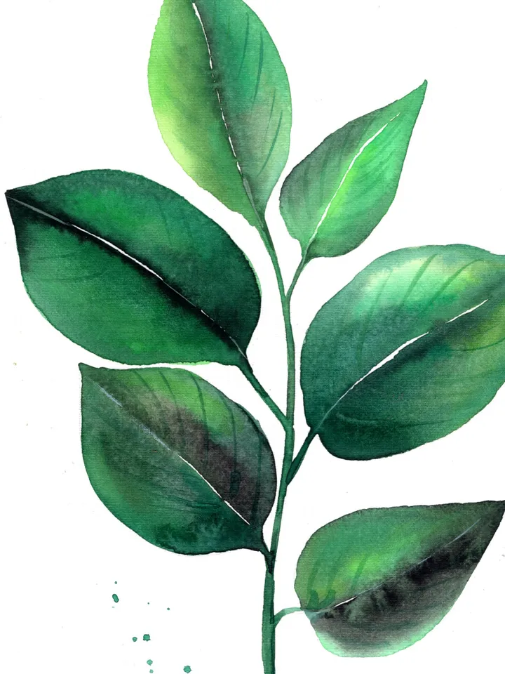 Botany illustration of green leaves Original watercolor, plant painting, wall decor, natura lover gift, 8x11 in handmade art by Anne Gorywine