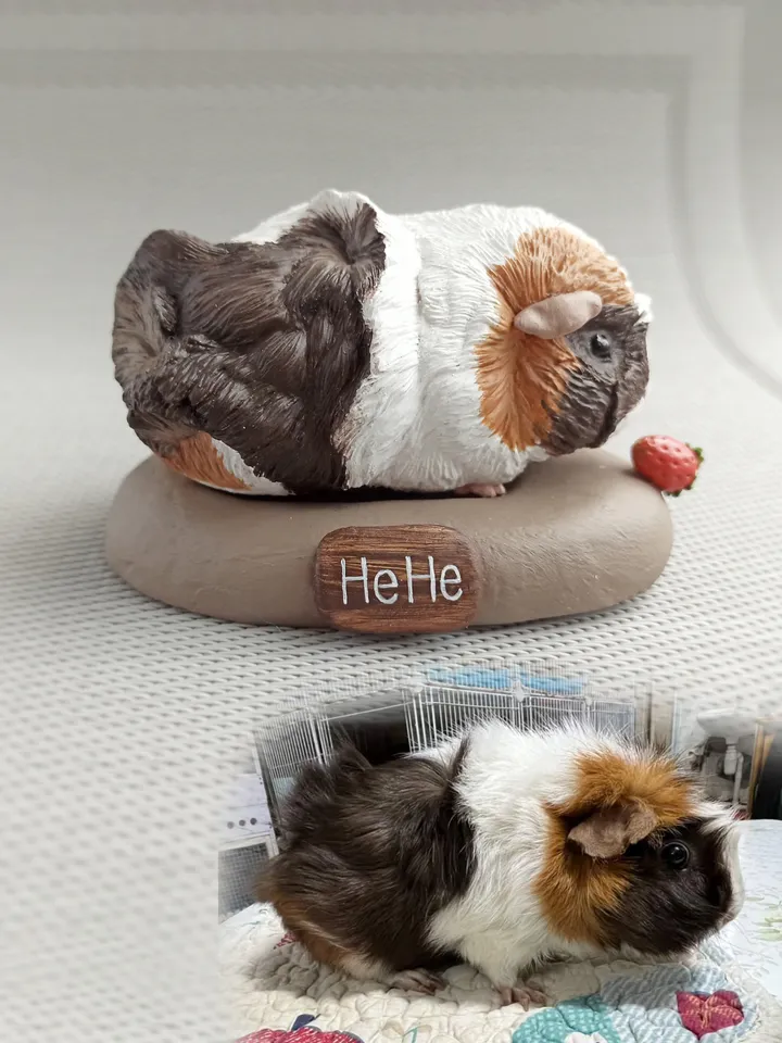 Custom fluffy guinea pig figure