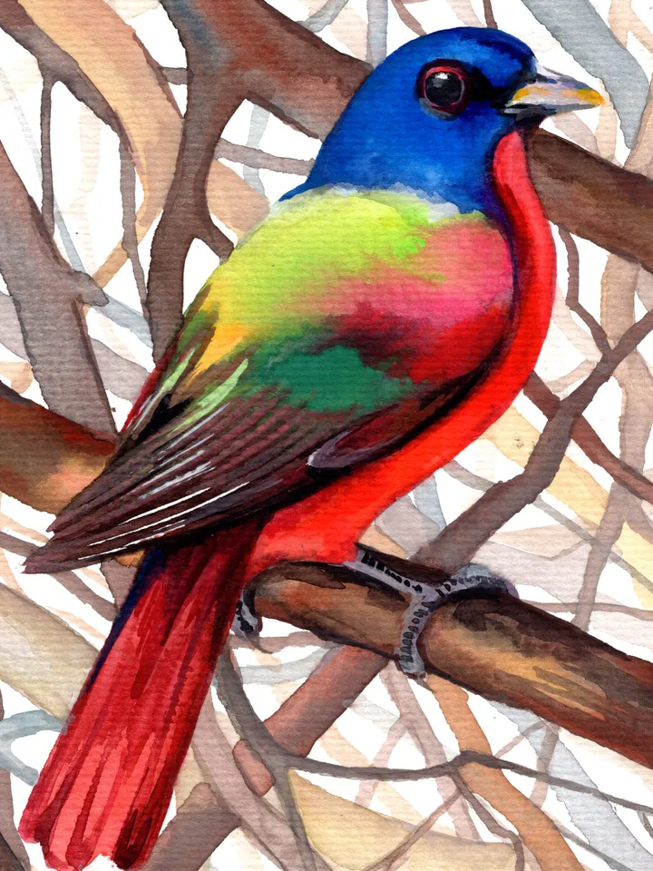 Colorful bird original watercolor illustration, birds painting, wall decor, 7x10 in art for bird lovers by Anne Gorywine