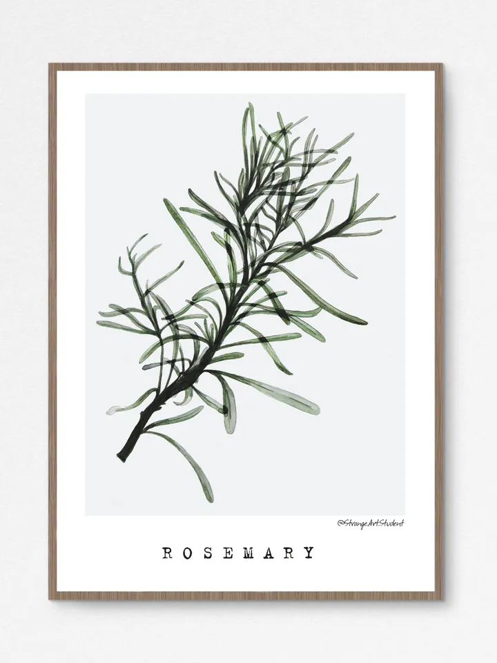 Watercolor posters TRANSPARENT PLANTS size (8"x11") 21x30cm