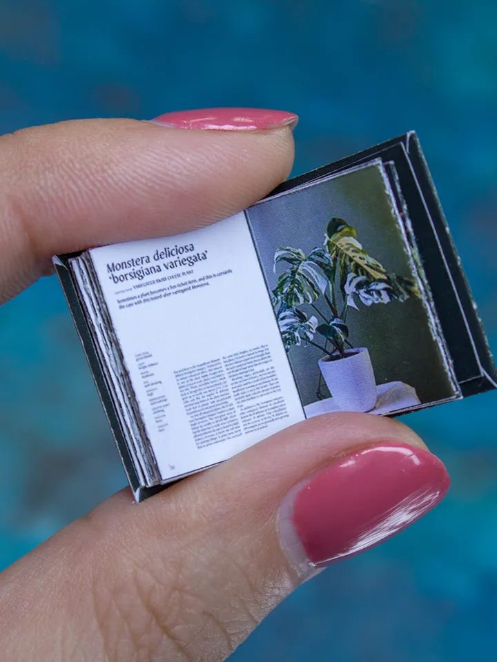 TEMPLATE Miniature book about plant