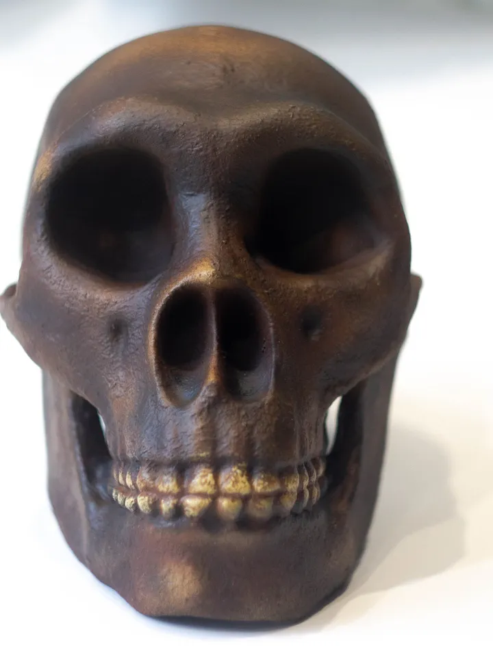 Homo Neanderthal from Spi Cave Skull Replica, Prehistoric Fossil Collection, Realistic Hominid Skull