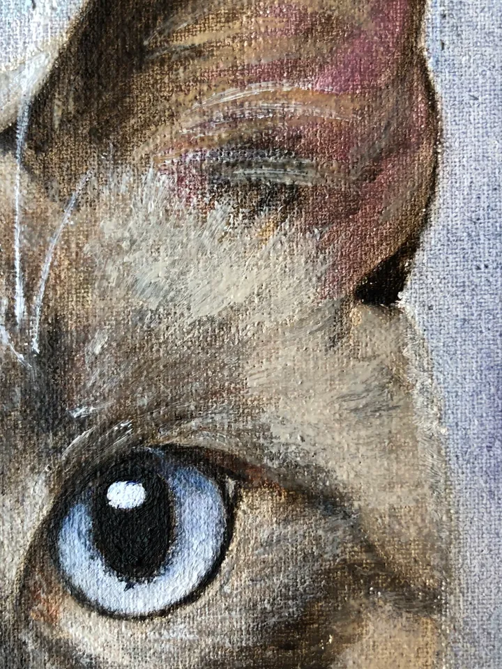 Cat portrait original oil painting on canvas animal art pet portrait hand painted modern painting wall art 8x8 inches