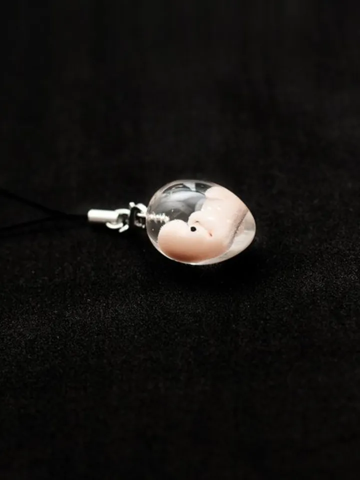 Embryo 7 weeks, 7 weeks pregnant, Sculpture cast in resin, charm ...