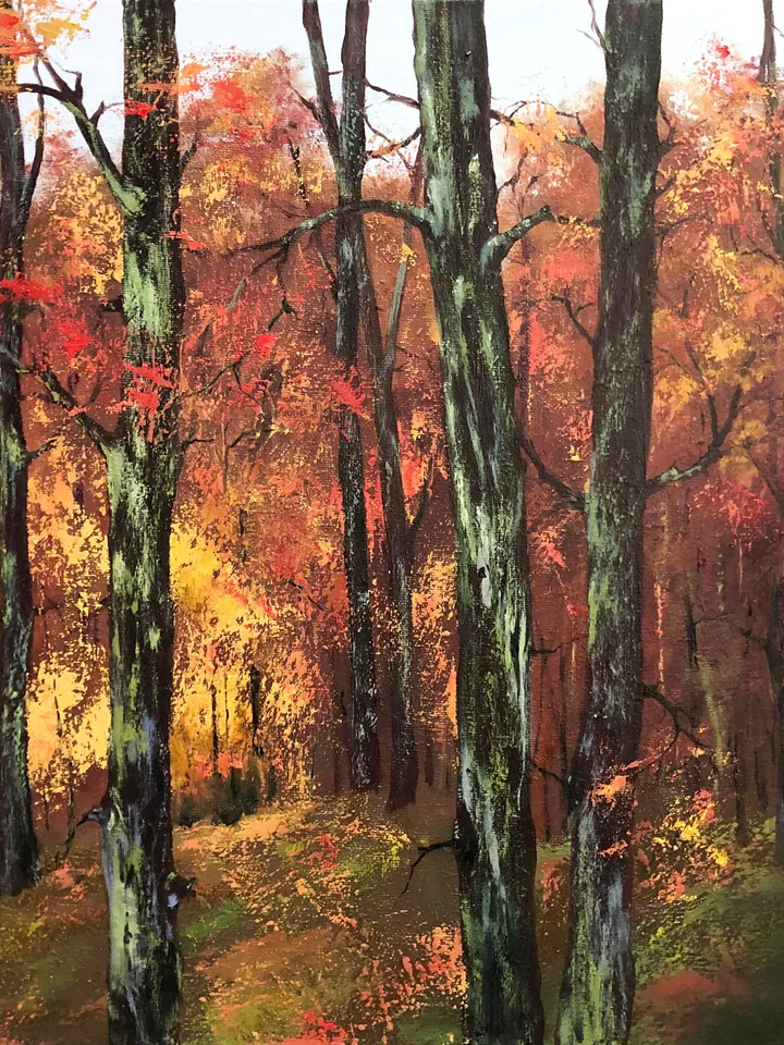 Forest Original Oil Painting Autumn Art Trees Painting
