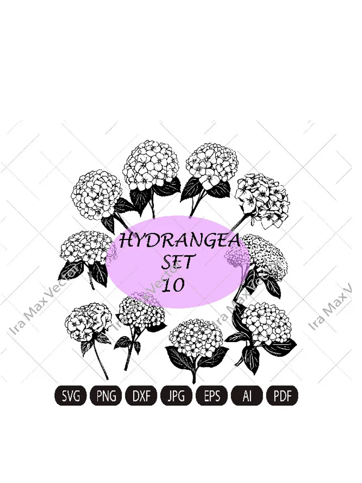 Hydrangea SVG, Hydrangea PNG , Vintage Botanical Line Art, Clip Art, sublimation, Logo Design, Engraving