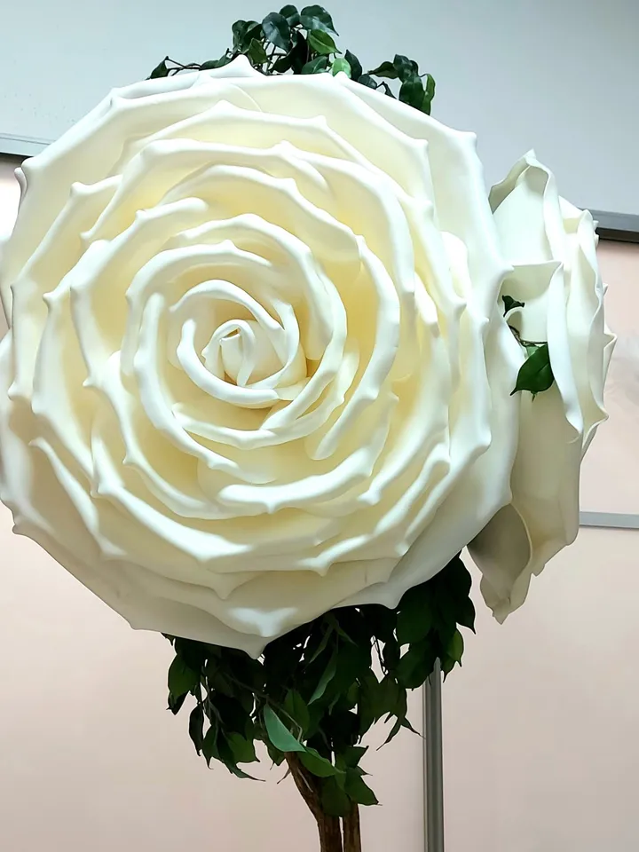 Giant hanging flowers 21inch large wedding roses on the arch, background, photo zones 10pcs