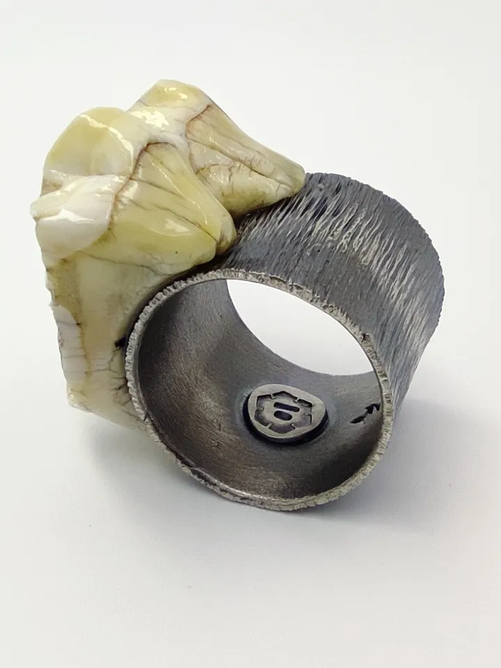 Author's ring - Tooth