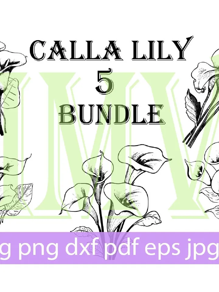 Calla Lily SVG, Calla Lily bouquet, Spring Flower Vector Drawings, Botanical Blossoms , Floral Line Art,Commercial Use PNG, SVG
