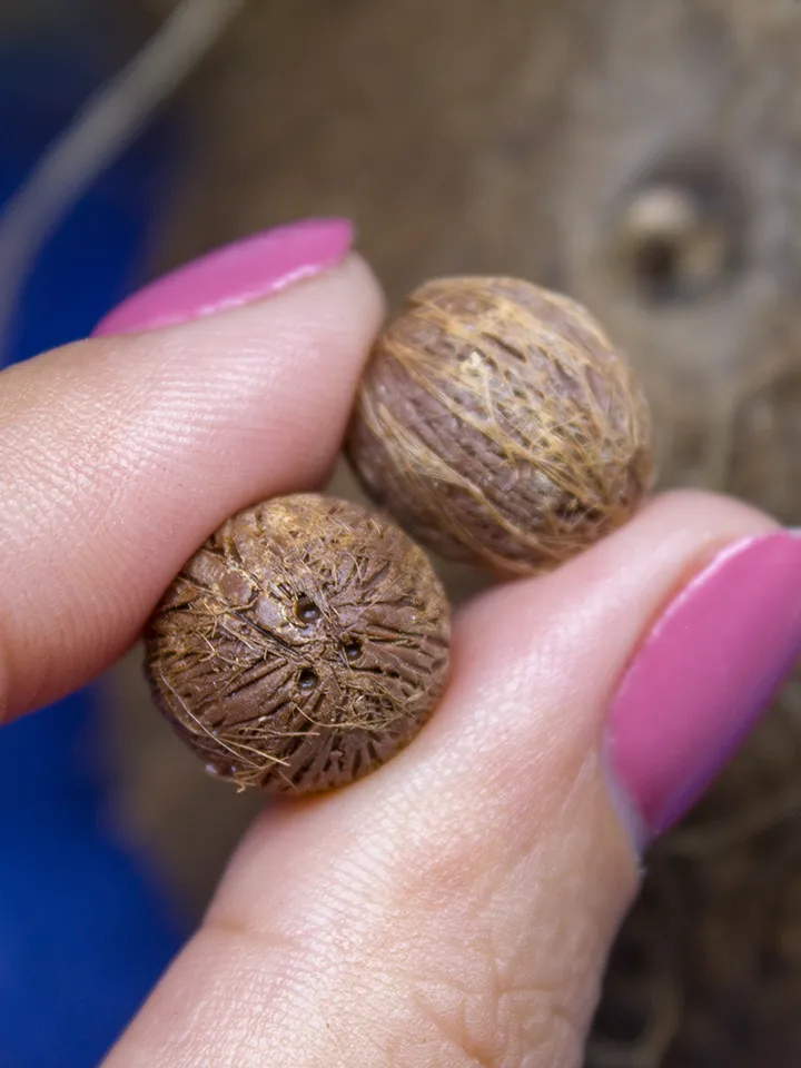TUTORIAL Miniature coconut with polymer clay