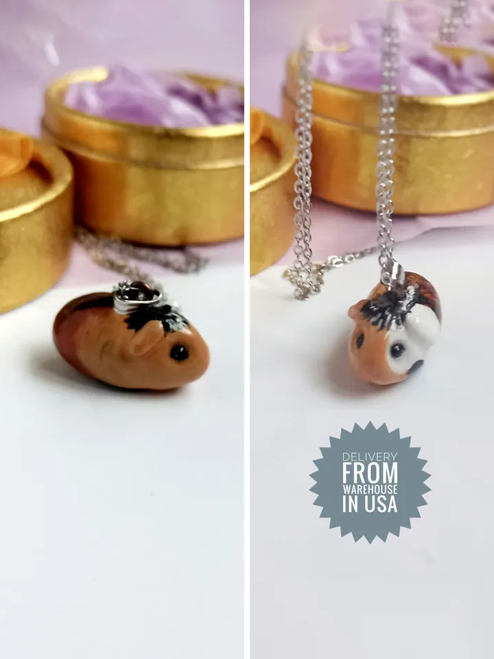 a Guinea pig necklace (US discount)