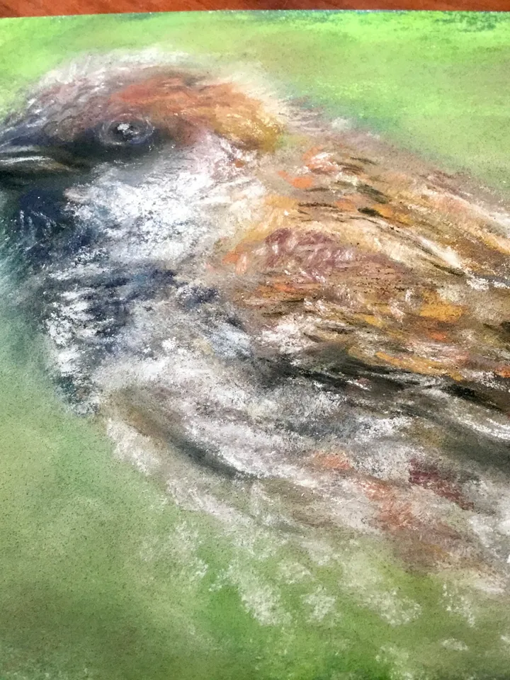 Sparrow bird original soft pastel painting on cardboard,nature,birds paintings,small painting gift,home decoration.