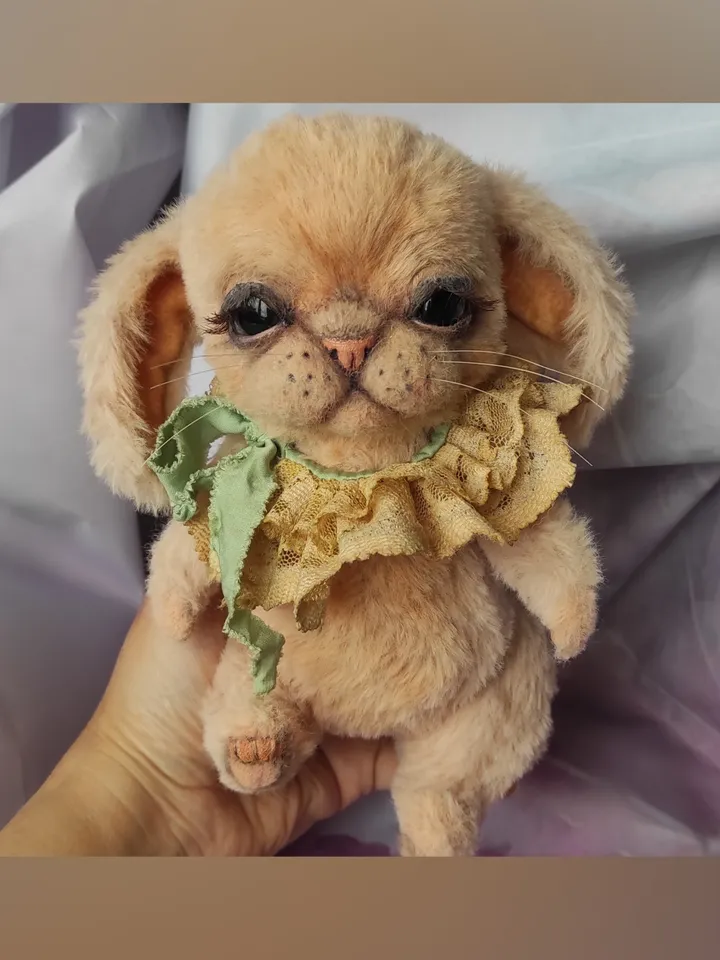 Teddy Bunny