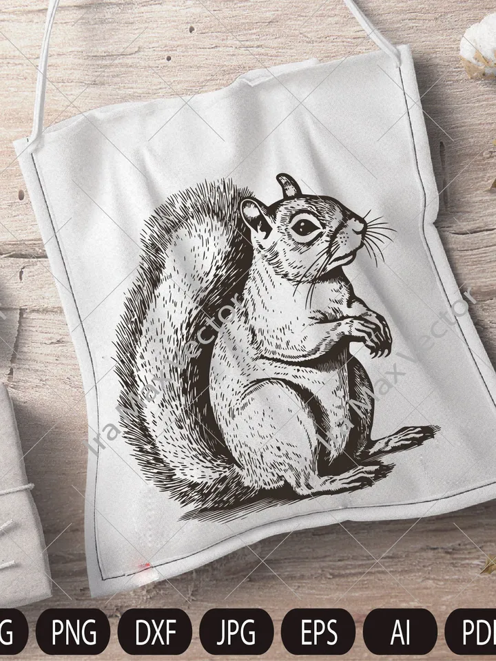 Squirrel SVG, Squirrel shirt, Squirrel png,Squirrel vector, Squirrel cricut,Squirrel poster, Squirrel download