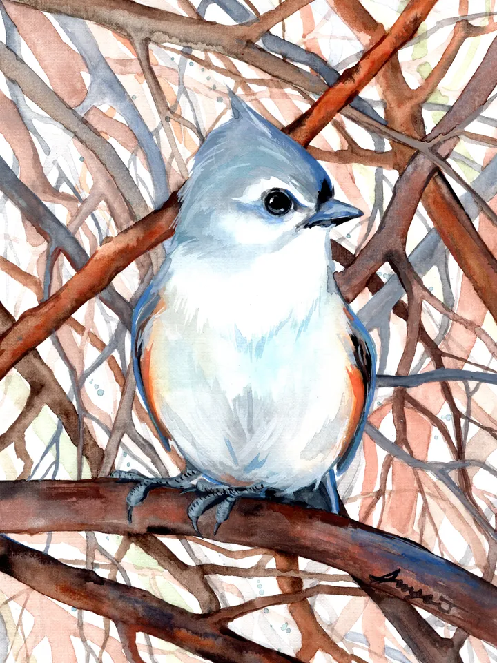 Titmouse Bird Watercolour, bird painting, wall decor, birds lover gift, 8x11 in handmade art by Anne Gorywine