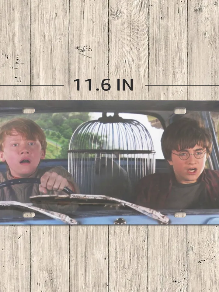 Harry and Ron License Plate
