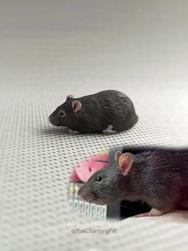 Realistic rat ornament