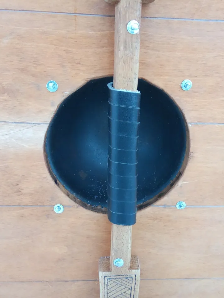 Viking round shield