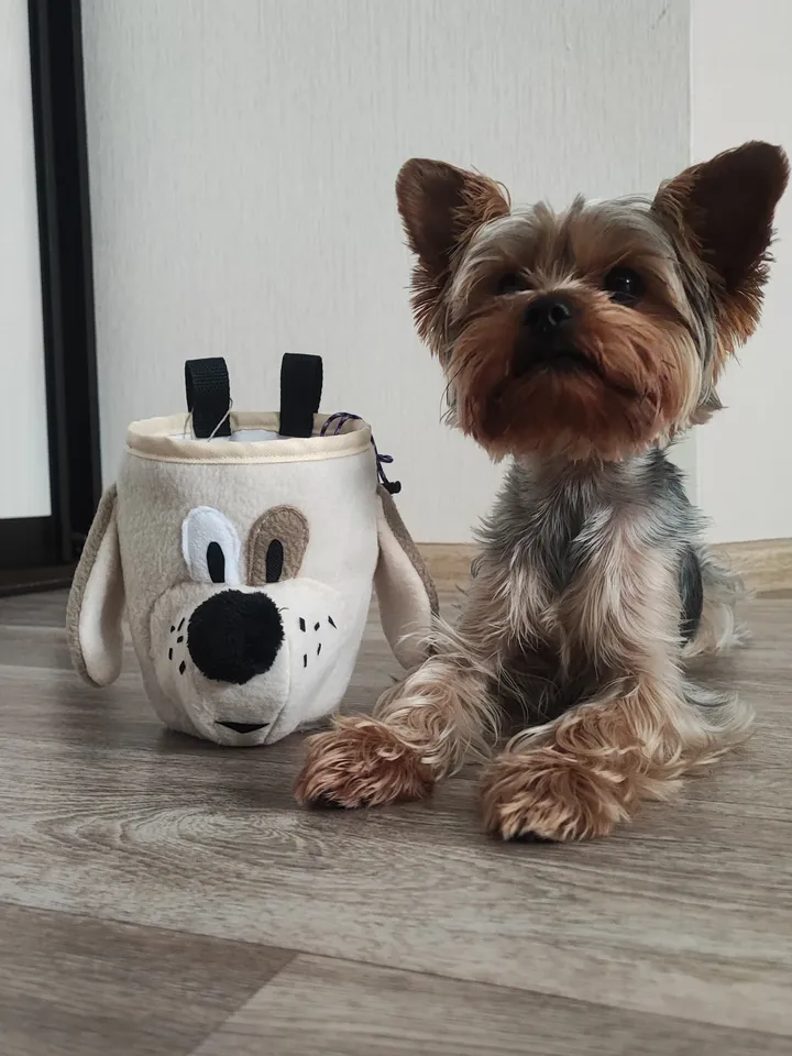 Chalk bag Dog for rock climbing