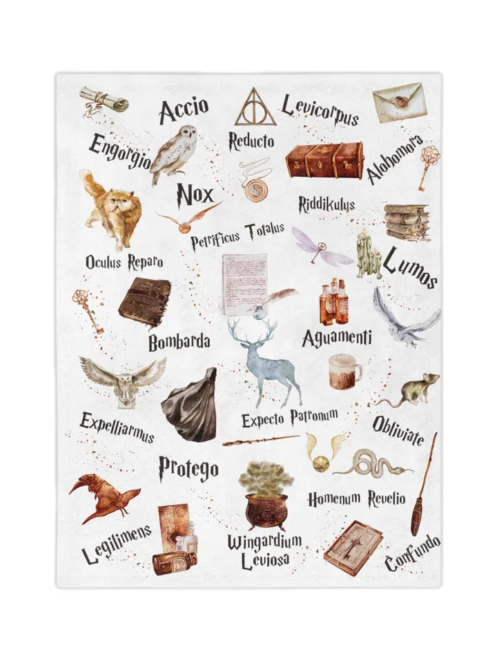 Wizarding World Baby Blanket; Magic School Baby Minky Blanket Owl Key Magic World Custom Wizard Blanket Gift for Baby Minky Blanket WBB12