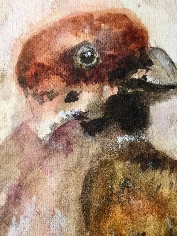 Bulfinch bird original watercolour painting,unique handmade gift,home decoration,birds painting,small paintings wall decoration.