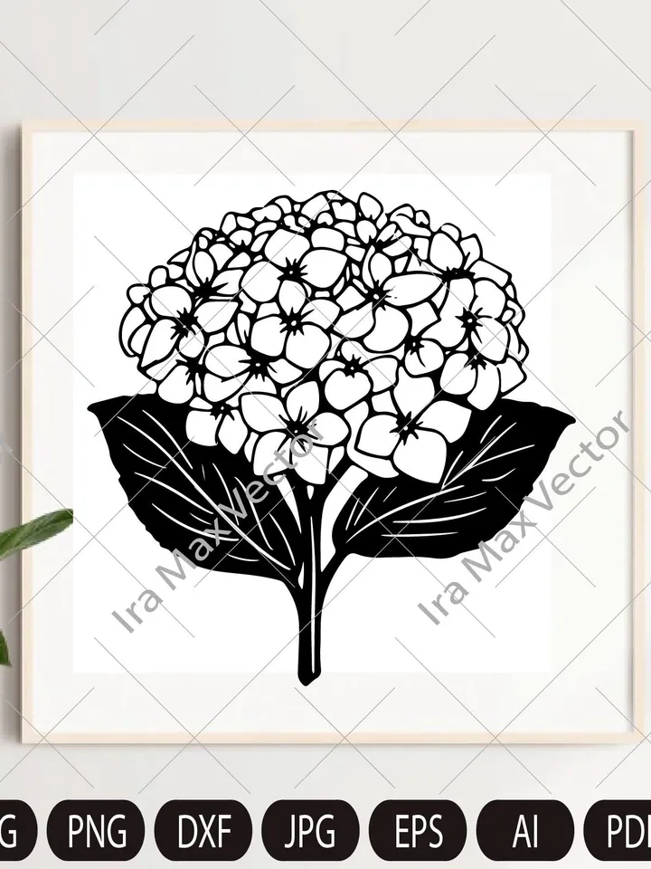 Hydrangea SVG, Hydrangea PNG , Vintage Botanical Line Art, Clip Art, sublimation, Logo Design, Engraving