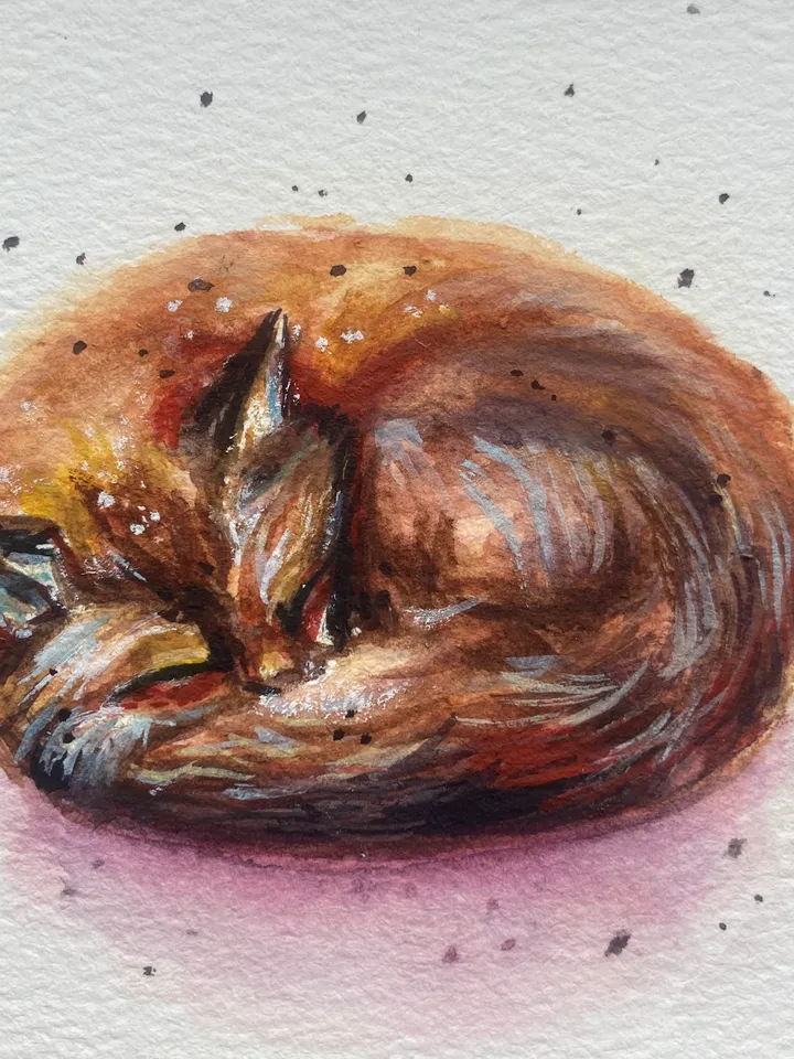 Sleeping Fox Painting Framed Small Watercolor Painting Original Art Frame Animal Painting Realistic Fox