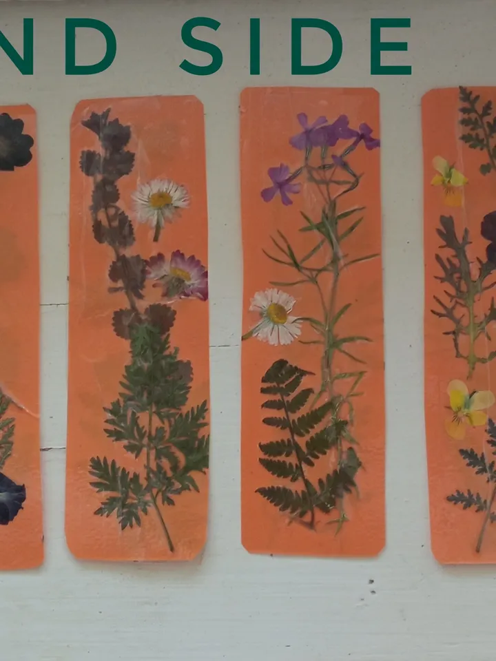 set of 4 bookmarks for herbarium books, handmade bookmarks with dried flowers, memories of summer