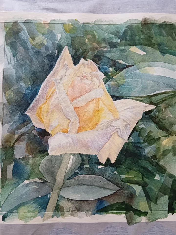 "Yellow Rose" Flower Original Wall Art Painting Watercolor Artwork, 17x17cm.