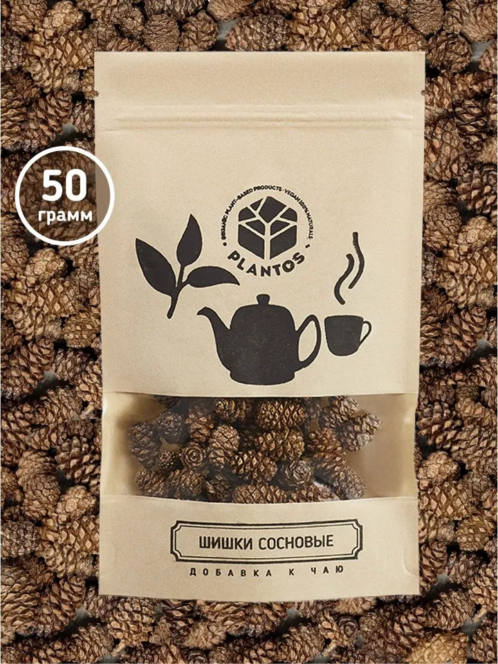 Pine cones useful additive to tea, coniferous aroma
