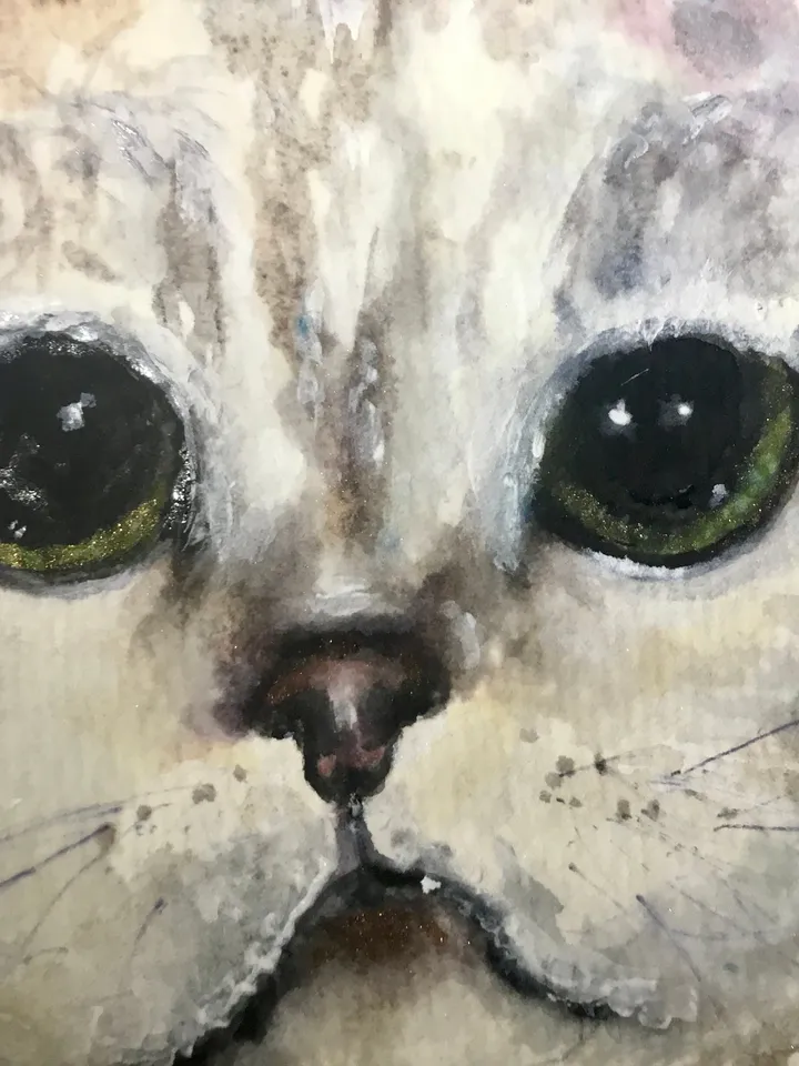 Scottish fold cat original watercolour painting,animals painting,gift for cat lovers,unique gift,white cat painting.