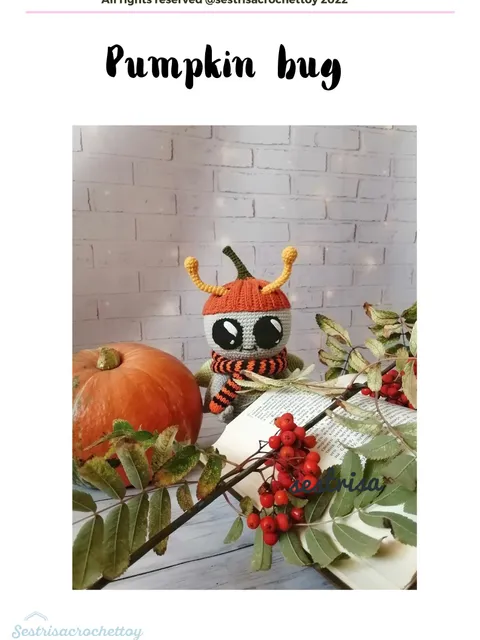 Pumpkin bug crochet toy PDF pattern