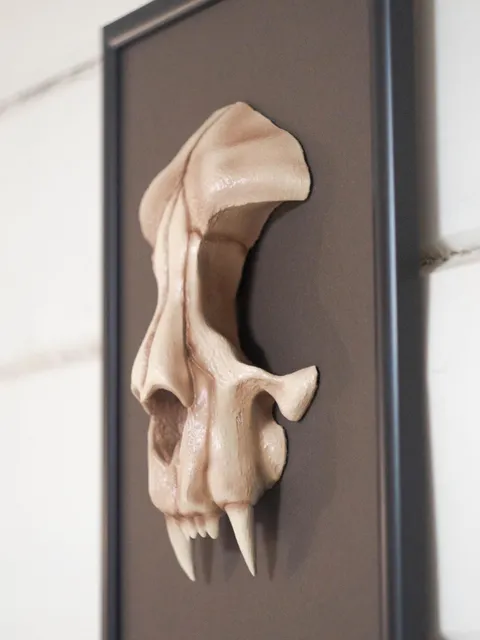 Wall-Mounted Sculpture with cat skull, framed skull, wall